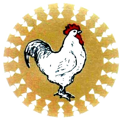 Kesla