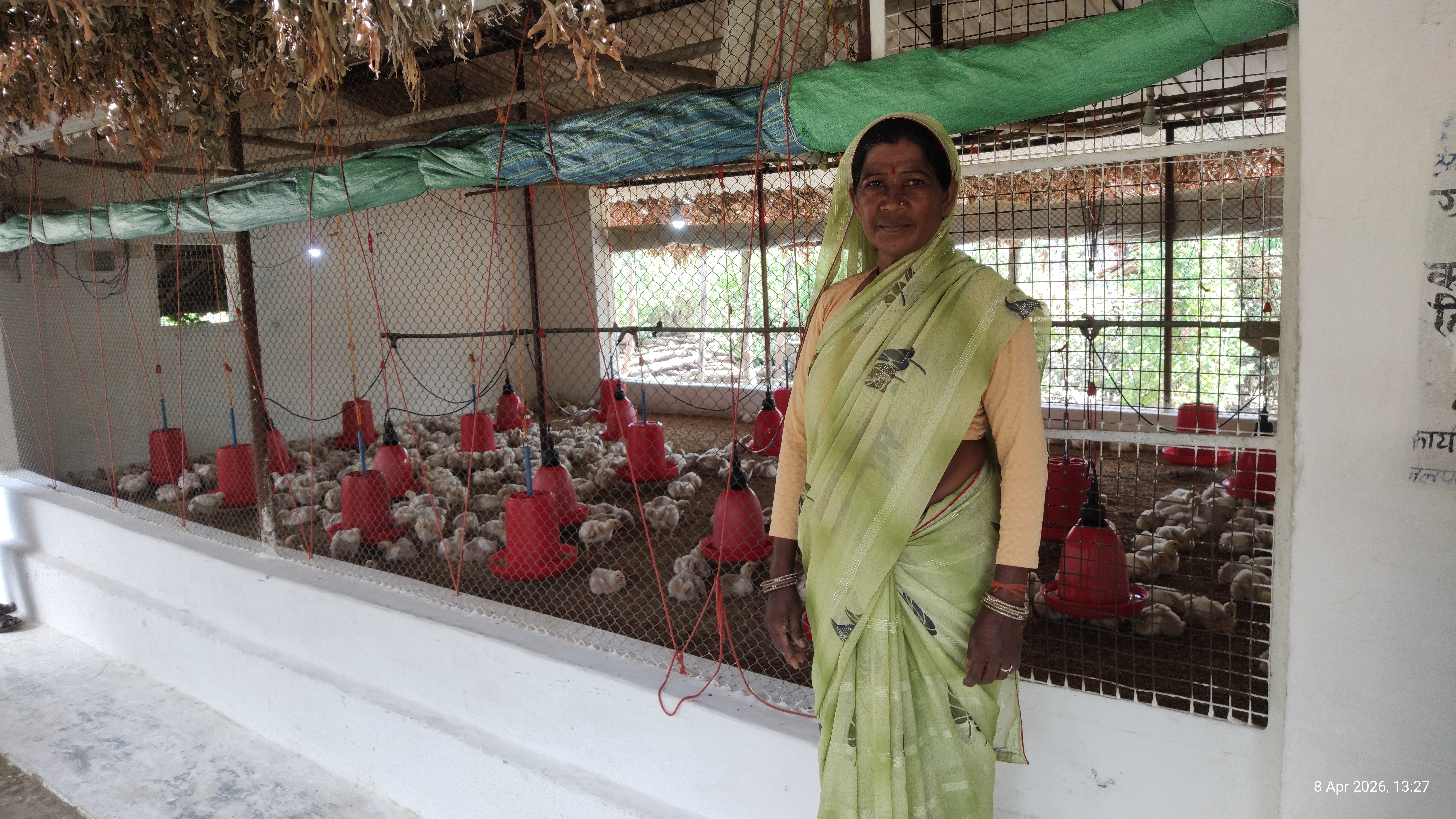 Poultry farming