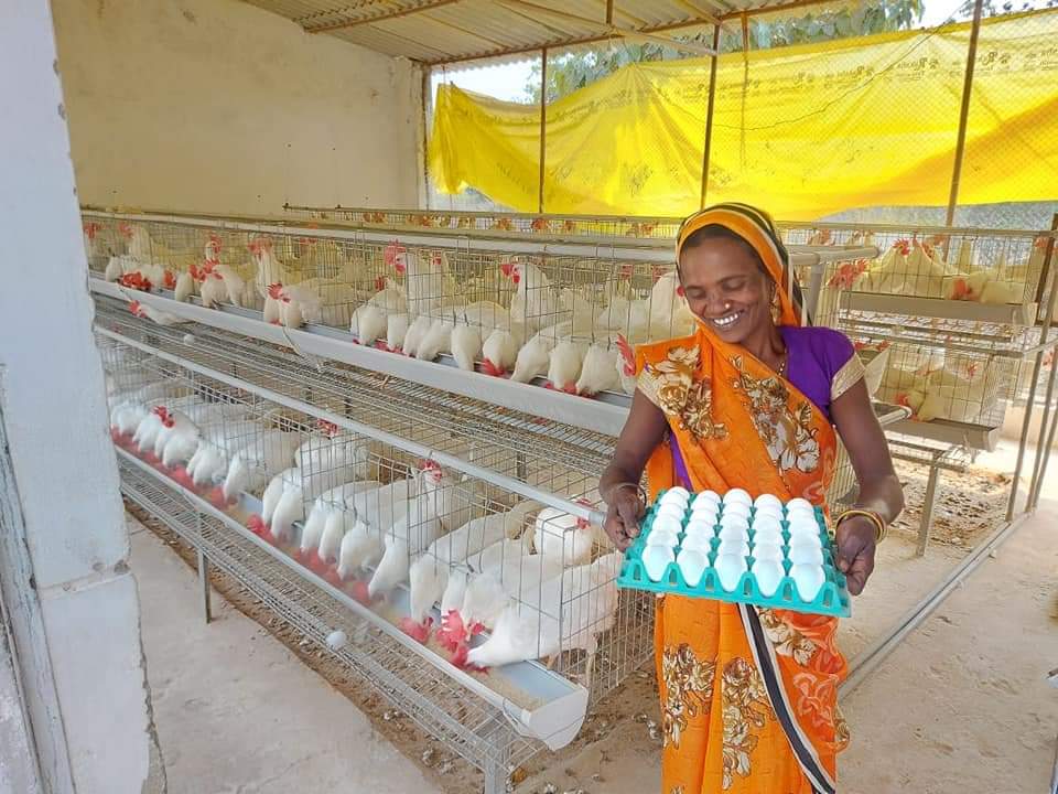Poultry farming